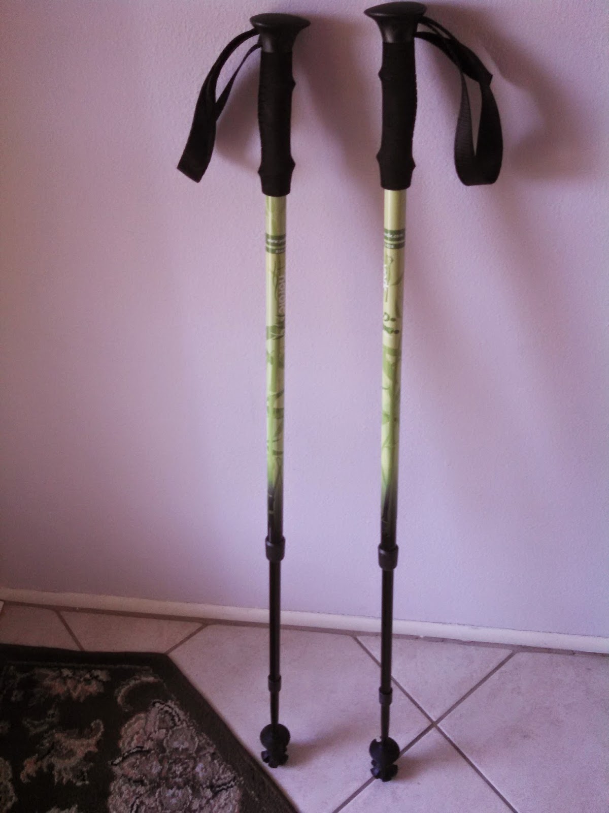 Increasing the Exercise Routine